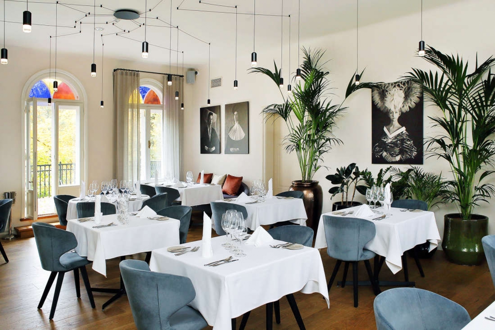 Restoran Juur, Hõlm, Mon Repos, Pull, Fii, pagarikoda Rost, pubi StVitus