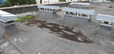 Lamekatuse remont ja renoveerimine