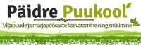 Hillar Nassari Päidre Puukool | viljapuude ja marjapõõsaste istikud