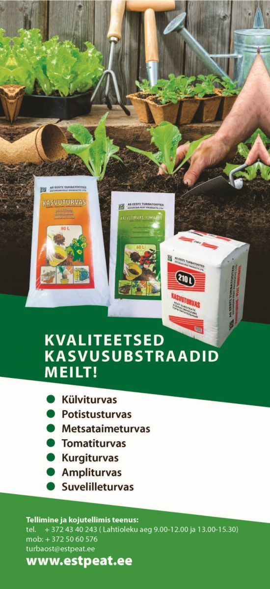 Kasvuturvas külviks tomatile, kurgile, suvelilledele, amplisse).